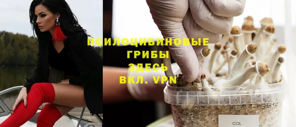 альфа пвп Михайловск
