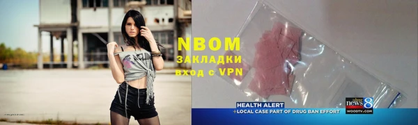 индика Михайловка