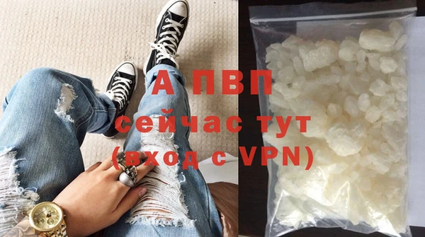 индика Михайловка