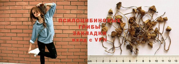 марки lsd Михайлов