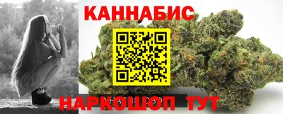 тгк Кингисепп