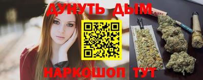 тгк Кингисепп