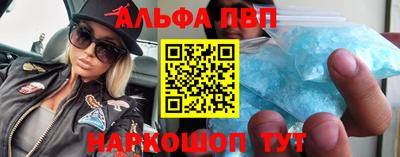 тгк Кингисепп