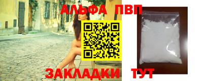 тгк Кингисепп