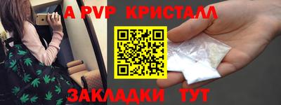 тгк Кингисепп
