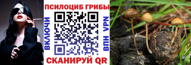 Псилоцибиновые грибы мухоморы  Комсомольск-на-Амуре 