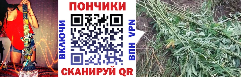 что такое Комсомольск-на-Амуре Конопля Bruce Banner